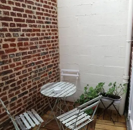 Adoptez Luciole Tatil Evi